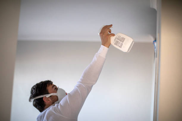 Morris, AL Mold Remediation Company