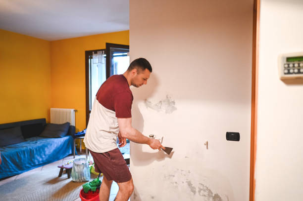 Best Insurance-Related Mold Remediation in Morris, AL